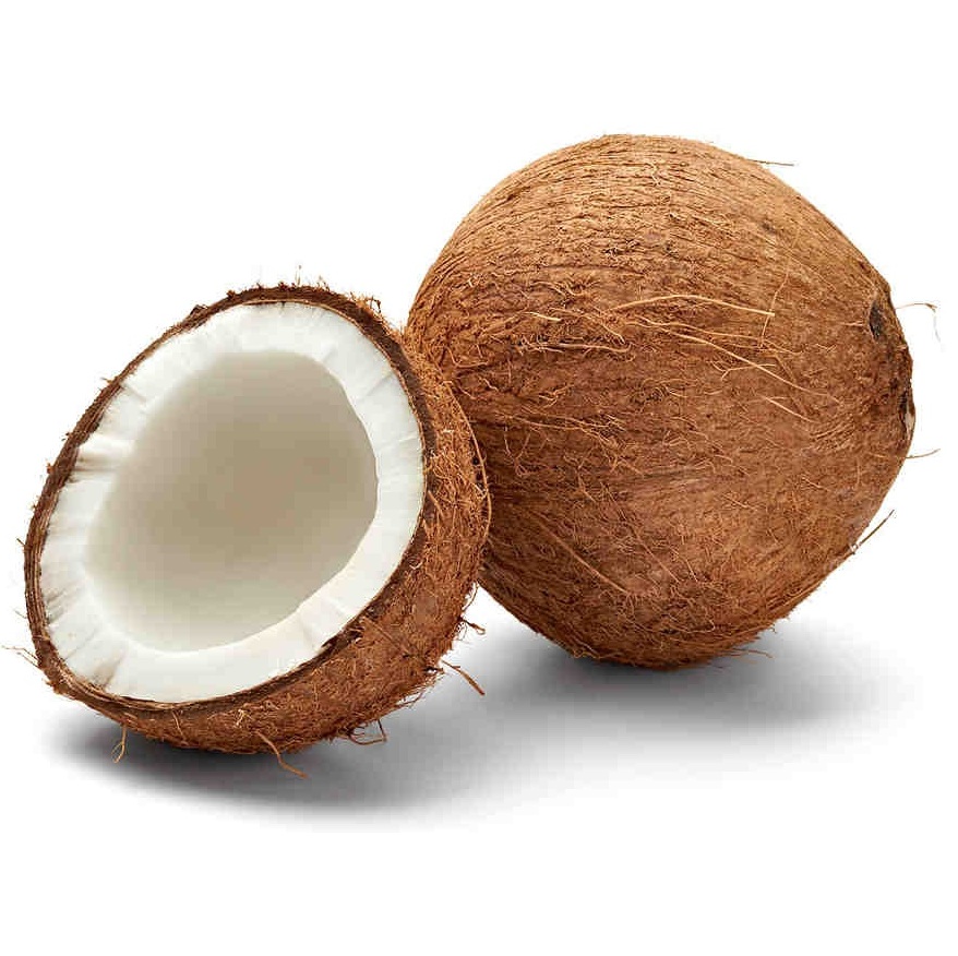 kokos-ciekawostki