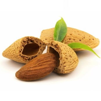 Almond with leaf